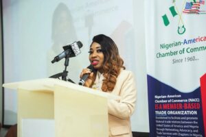 Nigeria cannot grow tech sector without stable power supply- NACC