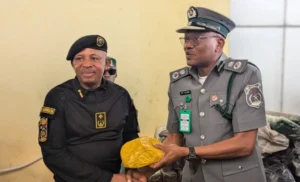 Customs seizes N352 million contraband in 2 months, hands over cannabis to NDLEA in Lagos 