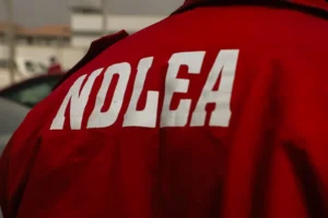 NDLEA intercepts 9,058kg drugs, arrests 260 suspects in MMIA crackdown