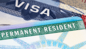 Japa: Top 14 countries offering fast-track Permanent Residency in 2025 