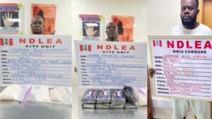 NDLEA arrests wanted drug kingpin after 7 years, seizes 101,150kg of illicit drugs in 13 states 