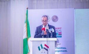 Trade between Nigeria and Egypt hits $315 million in 2024 – Egyptian Foreign Minister 