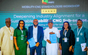 Kogi: NNPCL partners Zuid Energies on 40 million cubic feet LNG project