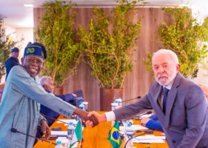 President Tinubu to remove bottlenecks hindering livestock production export between Nigeria and Brazil  