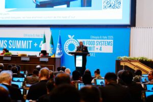 Nigeria deploys AI, climate intelligence to monitor food production—Shettima 