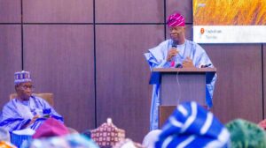 Wale Edun calls for sustainable health financing, strategic infrastructure investments in Nigeria’s health sector 