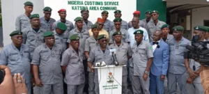 Customs seizes N690 million worth of illicit drugs in Katsina
