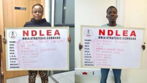 NDLEA intercepts drugs hidden in frozen snails, bulbs at Lagos airport