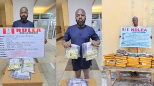 NDLEA arrests boutique owner with 1.4kg cocaine at Kano Airport