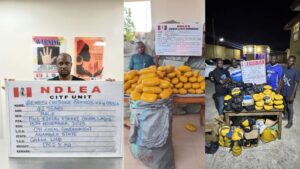NDLEA nabs hotelier Frank Ibemesi in Lagos, recovers 1,762kg of cannabis 