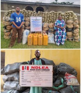 NDLEA arrests bandits’ drug supplier in Niger, uncovers codeine syrup factory in Abia 