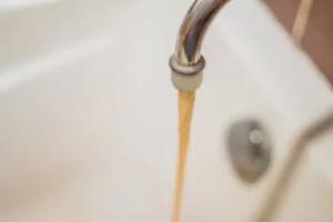 Lekki water quality deteriorates despite rising household treatment costs 
