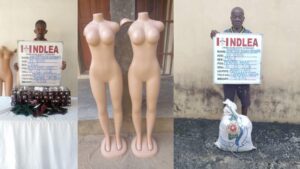 NDLEA nabs businessman trafficking 5.3kg tramadol to Cameroon in mannequins