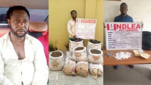 NDLEA nabs drug lord Lekan Jimoh, after 12-year manhunt 