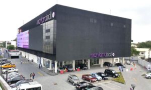 Purple Maryland – a deep and incisive look