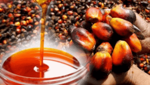 Nigeria’s palm oil import costs surge as Indonesia supply concerns mount