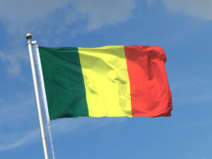 Mali imposes nightly curfew as coordinated attacks reach capital 