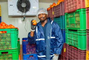 KAMIM Technologies to Lead Nigeria Delivery of US$2.1 Million HARVIST Clean Agri-Infrastructure Project
