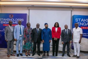 Lagos approves 14 electricity operators across off-grid, metering, distribution markets