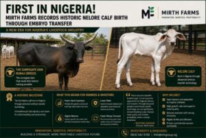 Mirth Farms Records Historic Nelore Calf Birth Through Embryo Transfer