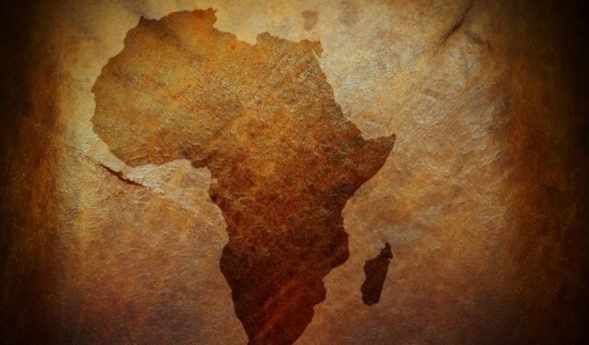 Best performing African currencies in July 2026