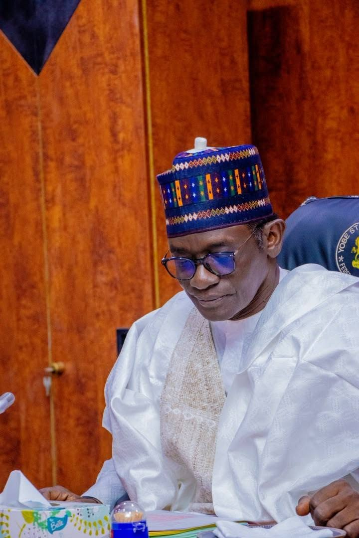 Yobe approves N73.3 billion for farm inputs, infrastructure, housing projects