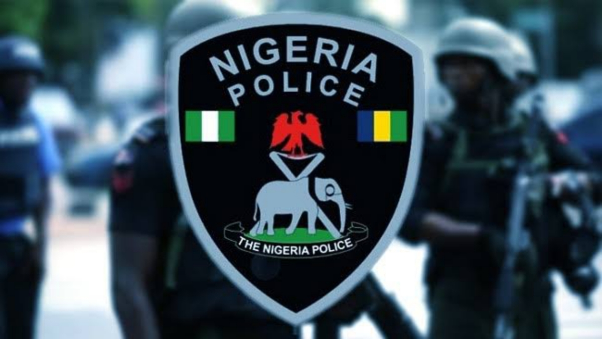 Police recover 285 vandalised NNPC pipelines in Adamawa, arrest seven suspects