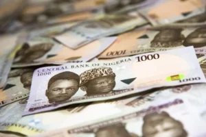 Why Nigerian Money Market Funds are your best emergency fund upgrade