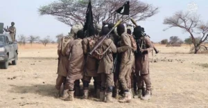 FG secures 653 terrorism convictions, mass trial still ongoing