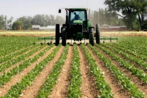 Banks shift N3.86 trillion into agriculture as oil and gas credit shrinks