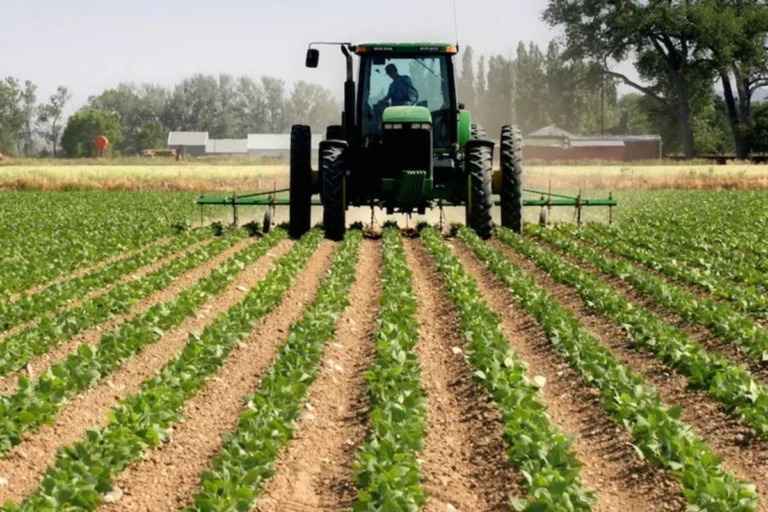 Banks shift N3.86 trillion into agriculture as oil and gas credit shrinks