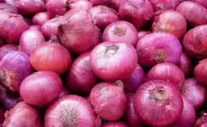 Nigerian onion traders suspend exports to Ghana as trade dispute deepens