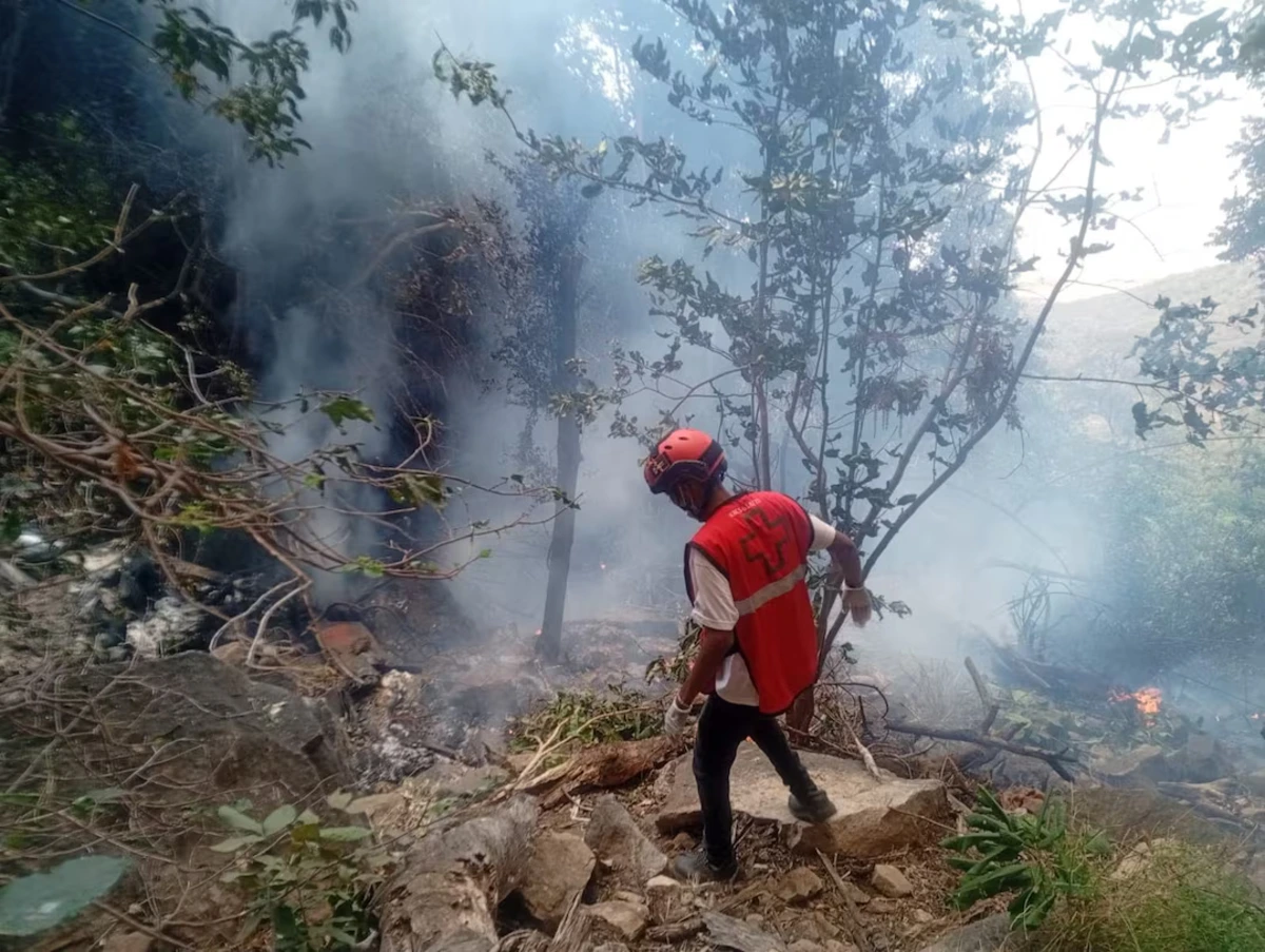 Ecuador intelligence chief, wife, American tourists killed in Kenya helicopter crash