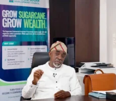 Nigeria targets sugar self-sufficiency with $1 billion pipeline, N10 billion fund