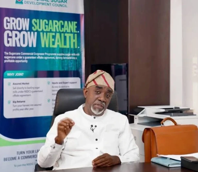 Nigeria targets over 2 million tonnes of annual sugar production through 13 projects