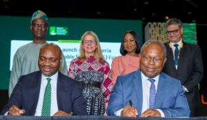 Nigeria DRE Fund reaches commercial launch milestone, a model for scaling DRE investment across Africa