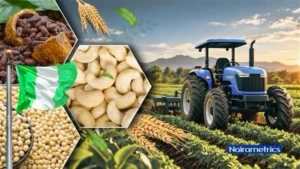 Top 10 most exported agricultural products from Nigeria in Q2 2026
