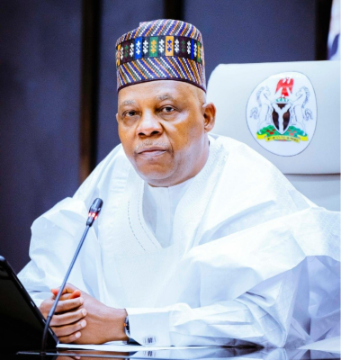 Vice President Kashim Shettima