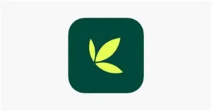 Bamboo app crashes under traffic surge as investors rush to access Dangote Refinery IPO