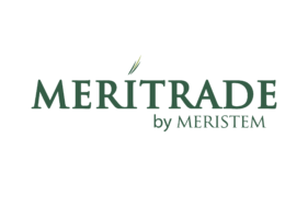 Dangote Refinery IPO: Meristem emerges go-to platform for investors