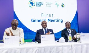 Africa Energy Bank takes off, Egypt’s Helmy Ghazi named pioneer president
