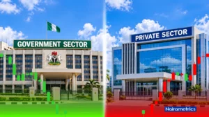 Credit to government jumps 63% to N39.4 trillion as private-sector credit slips