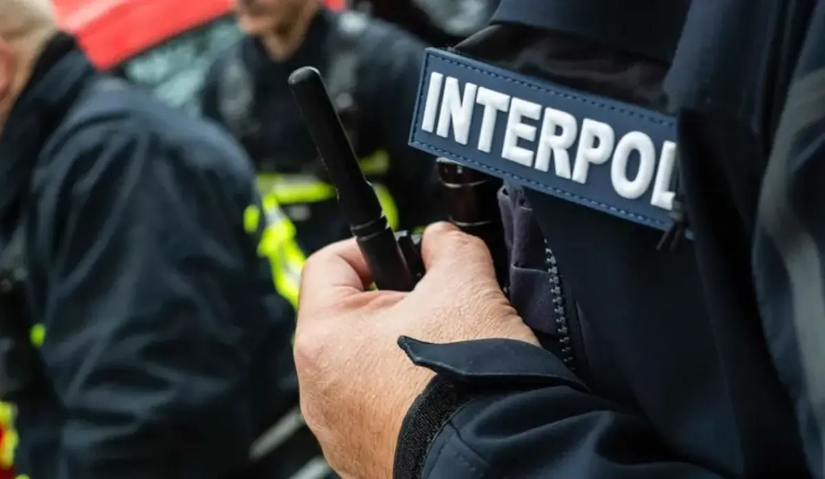 INTERPOL arrests Nigerian suspect over alleged $2.4 million fraud