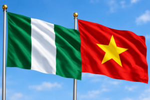 Nigeria, Vietnam push to limit foreign investors’ compensation in international disputes