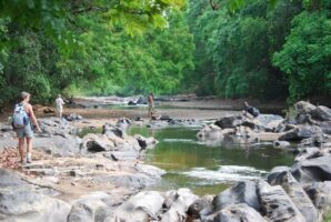 FG takes over management of Plateau’s Pandam Park after years of abandonment