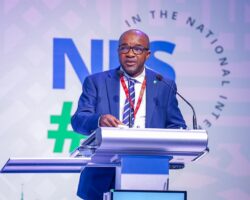 No Security, No Economy: Restoring Safety as the Precondition for Sustainable Growth